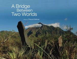 a_bridge_between_two_worlds_picture