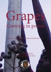 grapes_poster_celestine
